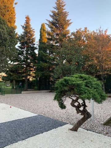Magnolia Country House Пескантина Экстерьер фото